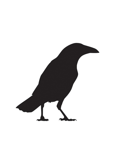Folyo Sticker Karga 100cm Uzunluk Siyah