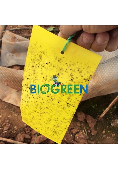 10 Cm X 25 Cm Sarı Yapışkan Kart Tuzak