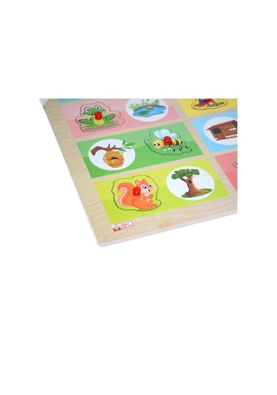 Ony-363-364 Ahşap Tutmalı Eşleştirme Hangi Hayvan Nerede Yaşar -O.