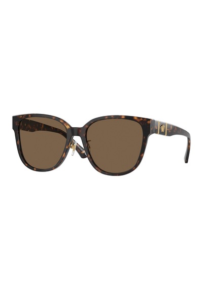 Versace Güneş Gözlüğü Ve4460d 57 108/73 Kahverengi