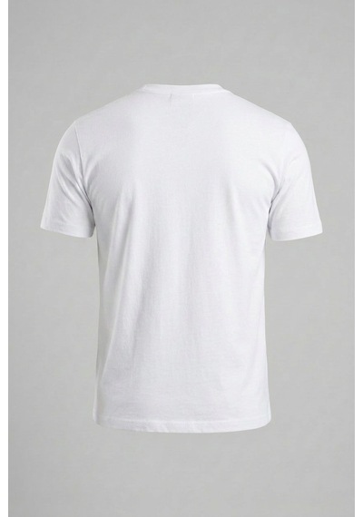 Tonny Black 4 'lü Paket %100 Pamuk Rahat Kalıp Siyah-beyaz-gri-acı Kahve T-shirt Erkek Çok Renkli T-shirt Tbtshrt099