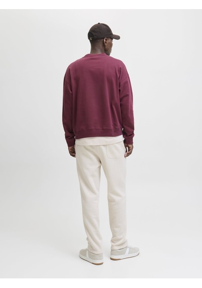Jack & Jones Jpstkane Bradley Uncuffed Eşofman Altı 12279134 Bej