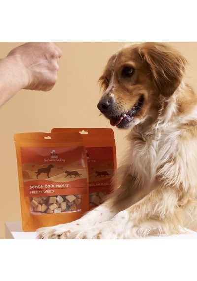Kito Freeze Dried Somon Köpek Ödül Maması%100 Doğal, Glutensiz 30 Gr Dog Treat
