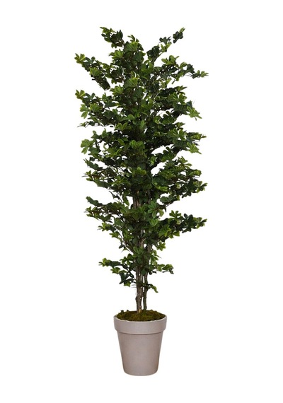 Yapay Ağaç Taflan 170 Cm Yeşil