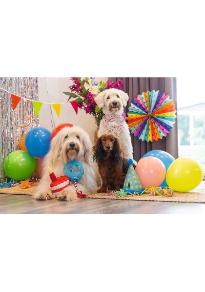 Hnrlıshp Beeztees Köpek Oyuncağı, Parti Balonu, Peluş, Mavi, 39x13x7,5cm