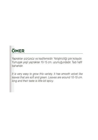 Ata Tohumu Yerli Doğal Enli Tere 1000 Adet Tohum