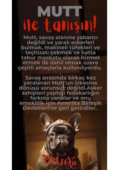 Petjoo 10.Mutt Kırmızı-Gri Qr'lı Köpek Künyesi
