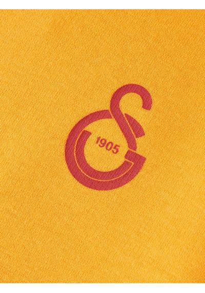 Gsstore Galatasaray Puma Çocuk Kapüşonlu Sweatshirt 78291406 Sarı