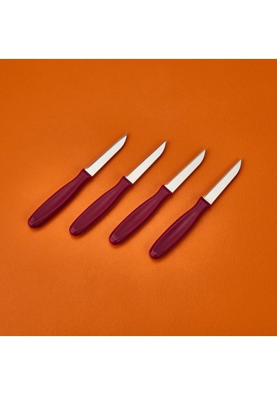 Roocc 4'lü Meyve Bıçağı - Asorti - 20 Cm Çok Renkli