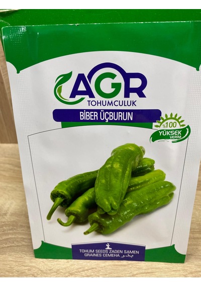 Agr Köy Biberi Üç Burun Mazamort Tohumu Biber