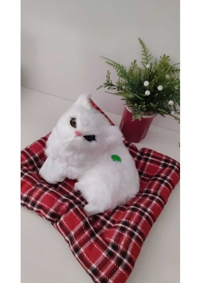 Sevimli Sesli Yatakta Oturan Kedicik Orta Boy 20 Cm Minder İle Bitişiktir
