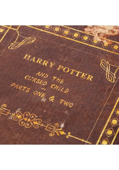 Mudo Home Harry Potter Kitap Kutu 19x8x27cm