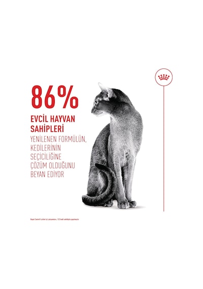 Royal Canin Exigent Savour Seçici Kediler İçin Yetişkin Kedi Maması 10 KG