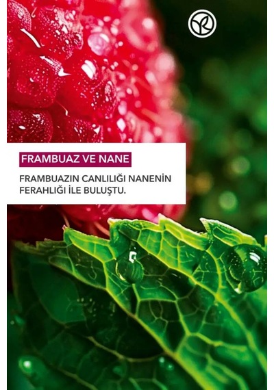 Konsantre Duş Jeli Frambuaz & Nane 100 Ml - Doz Ayarlı Seyahat Boy Ekolojik Canlandırıcı Banyo Jeli Diğer
