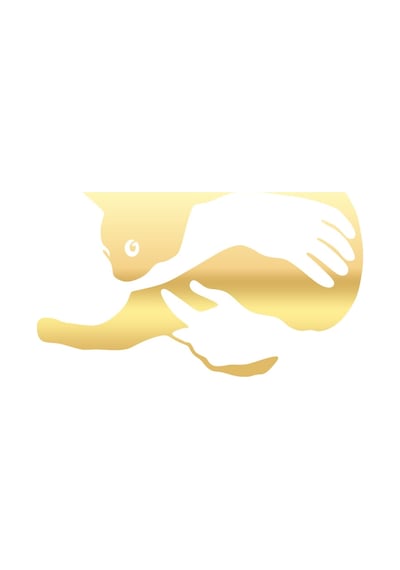 Kedi Seven El Sticker 17x17 Cm Gold