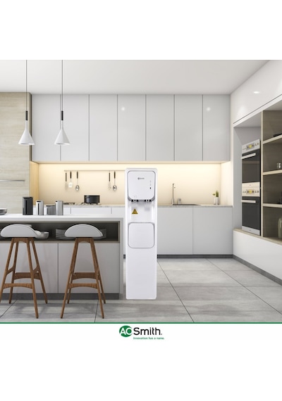 Ao Smith Frezya 300S