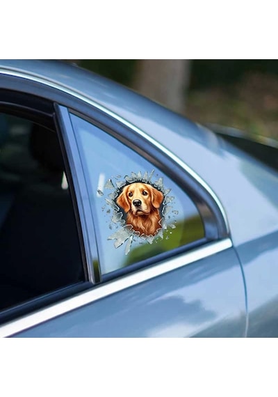 Fulcar Golden Araç Stickerı Çok Renkli