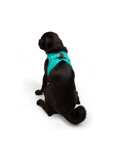 Air-Mesh Küçük ve Orta Irk Kedi Köpek Göğüs Tasması - Yumuşak, Nefes Alabilir, Dayanıklı TURKUAZ XL