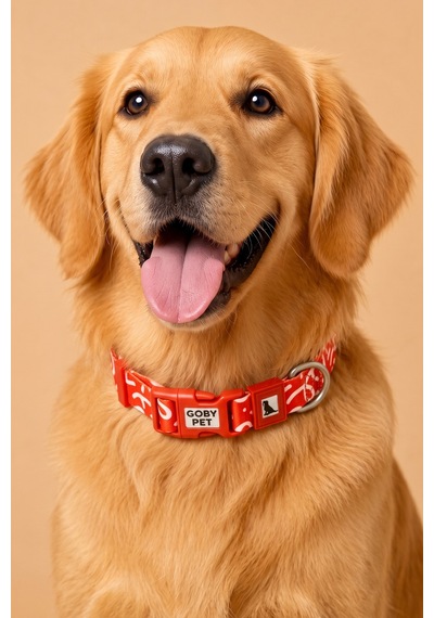 Köpekler İçin Dayanıklı Ve Güvenli, Desenli Boyun Tasması 25mm Kırmızı