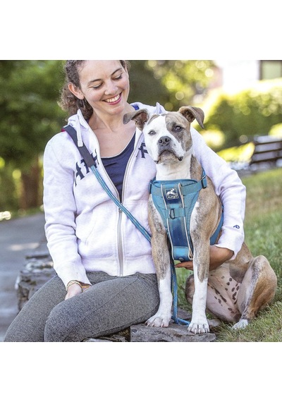 Köpek Koşum Takımı Evcil Hayvan Yürüyüş Koşumu No Pull Harness Ön Klips Fonksiyonu Antrenman İçin Dahil