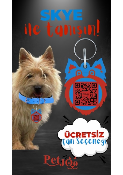 Petjoo 6.Skye Kırmızı-Mavi Qr'lı Köpek Künyesi