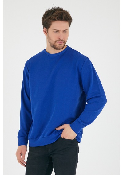 Süperlife Erkek Bisiklet Yaka Regular Fit İnce Sweatshirt Spr 20k30 Saks