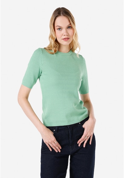 Colin's Colins Slim Fit Bisiklet Yaka Yeşil Kadın Kazak Cl1067359 Apple Green Elma Yeşili