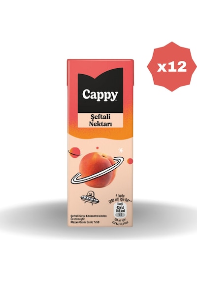 Şeftali Meyve Nektarı 200 Ml - 12 Adet