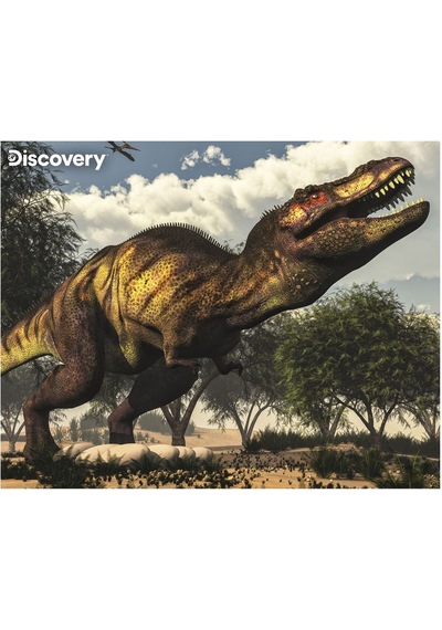 Prime 3d Discovery Tyrannosaurus Rex Puzzle 63 Parça 20925