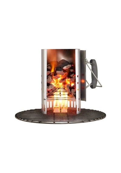 Weber 17590130 Briguet, 4 Kg, Ep