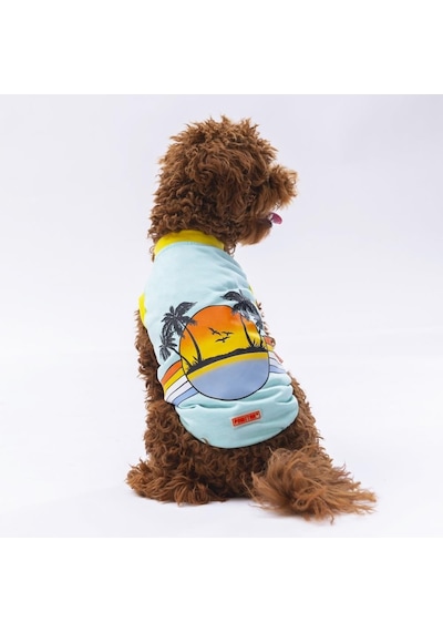 Pawstar Mint Sunrise Kedi Köpek Tişörtü Kedi Köpek Kıyafeti