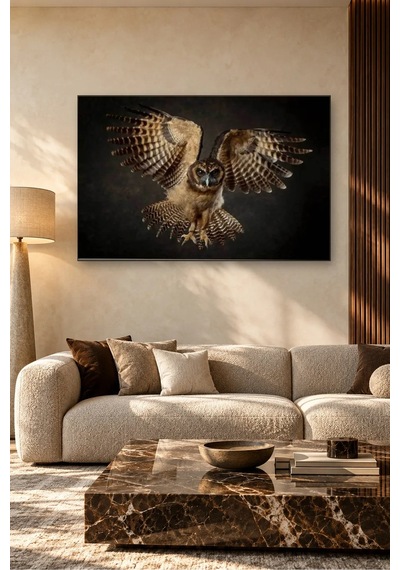 Fida Karanlıkta Kanat Açan Baykuş Canvas Tablo Çok Renkli