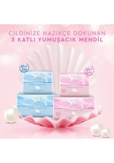 100'lü X 12 Mendil İle Yumuşak Ve Pratik Kullanım