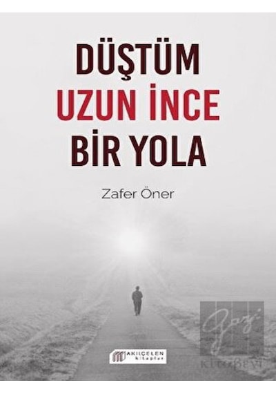 Akıl Çelen Kitaplar - Düştüm Uzun İnce Bir Yola
