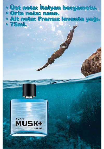 Avon Musk Instinct + Marine + Mineralis Erkek Parfüm EDT 3 x 75 ML
