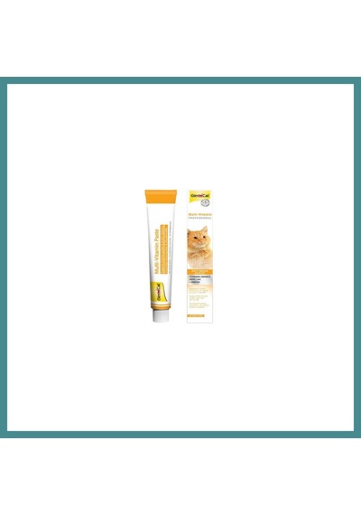 Gimcat Multi Vitamin Kedi Macunu 100 Gr Mac