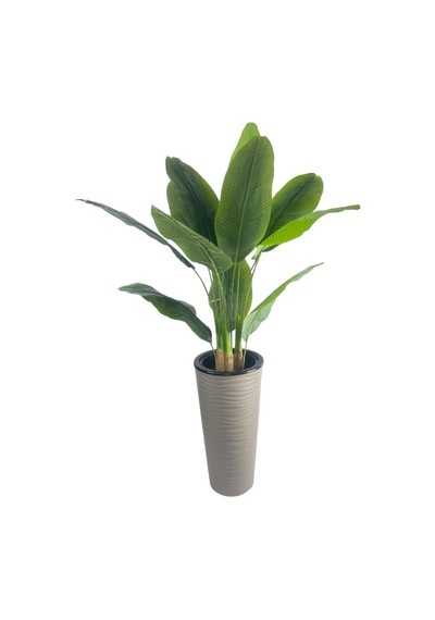 Yapay Starliçe Muz Ağacı Dore Kumsal Vazoda Muz Ağacı Yapay Starliçe 150cm 12 Yaprak