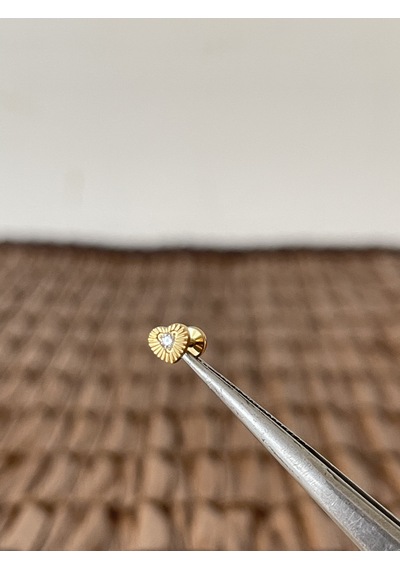 Gerçek Titanium G23 Kalp Zirkon Altın Titanyum 6x1.2mm Bedenilabret Piercing Altın