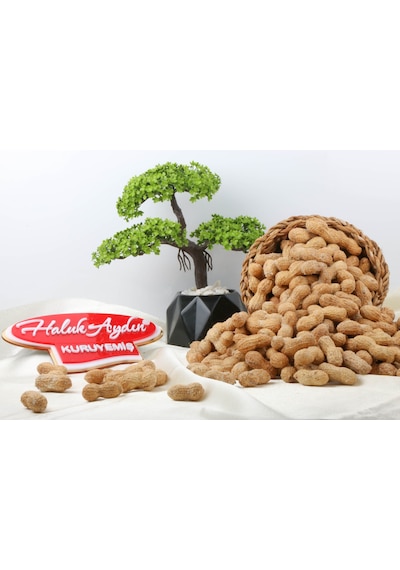 Haluk Aydın Kuruyemiş Kabuklu Tuzlu Fıstık 500 G