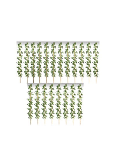 Rüzgar Yapay Çiçekçilik 2 Metre 20 Adet Bambu Çubuğu Yeşil