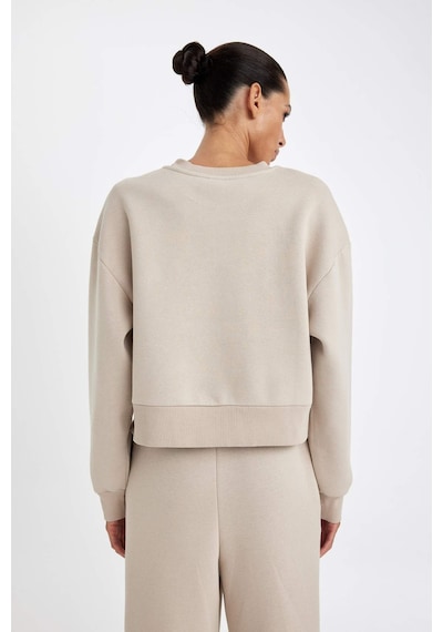 Defacto Boxy Fit Bisiklet Yaka Kalın Basic Düz Sweatshirt B8568AX24WNBG187 Bej