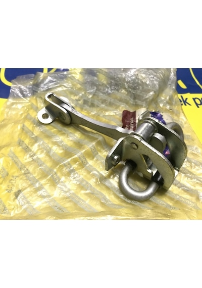 Palio Albea Arka Kapı Gergi Yayı 51803056