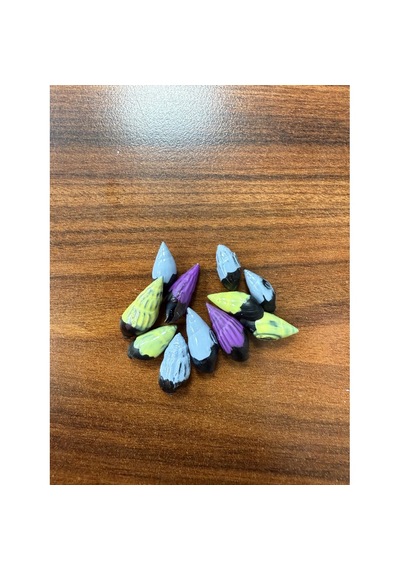 Transgenik Renkli Bonibon Salyangoz 5 Adet 1-2 Cm Yosun Yiyici