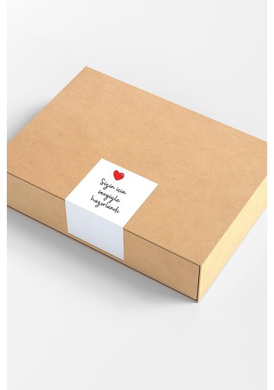 Lexroo Paketlemeye Özel 8 Çeşit Sticker Seti, 560 Adet 16 Sayfa Çok Renkli