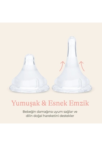 Lansinoh 240 Ml Pp Biberon