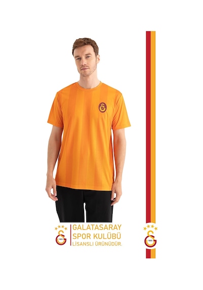 Galatasaray Lisanslı Match Day T-shirt Gs Aslan Baskılı Ahşap Kutulu 106 Sarı