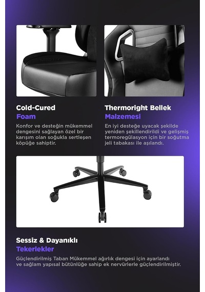Knight Premium Oyuncu Koltuğu, 4d Kolçak, Frog Mekanizma, Siyah Çok Renkli