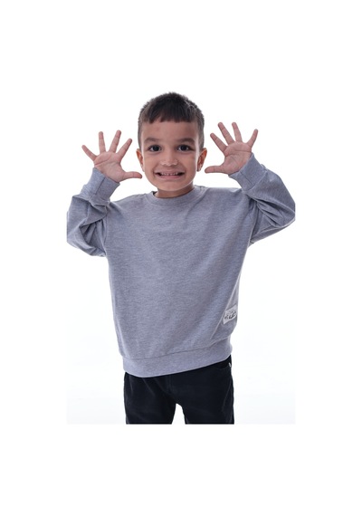 Erkek Çocuk Gri Sweatshirt %100 Pamuk 12 Ay 5 Yaş Rahat Kalıp Basic Günlük Üst Gri