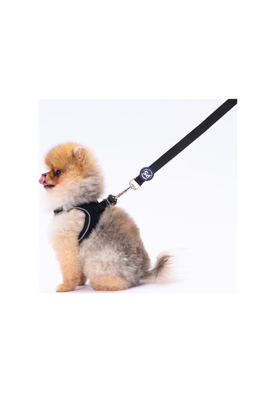 Pawstar L04 Siyah Sevk Kayışı Siyah