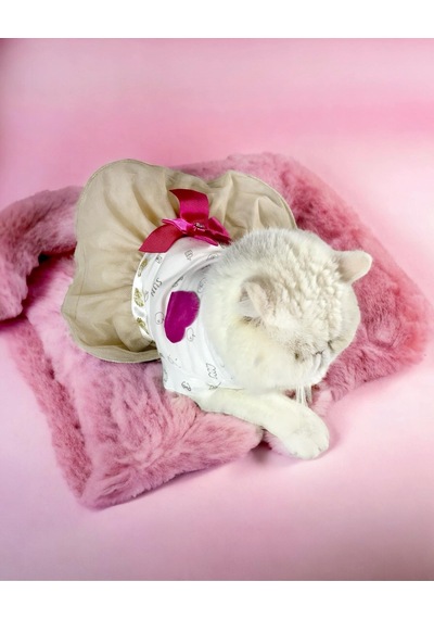 Kemique Creamy Fuschia Tütülü Kedi Elbisesi